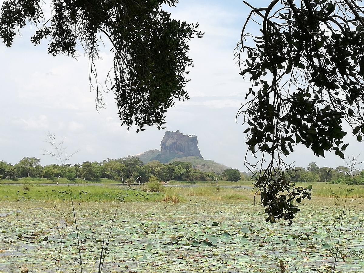 Sigiri Binara Villa Sigiriya Exterior photo